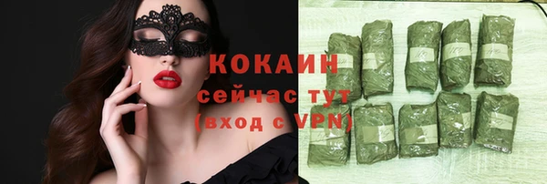 прущие грибы Осташков