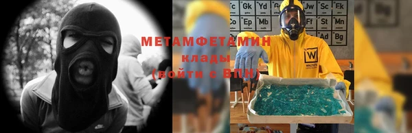 прущие грибы Осташков