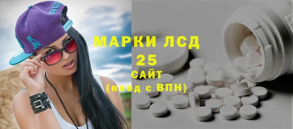 прущие грибы Осташков