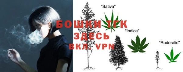 прущие грибы Осташков