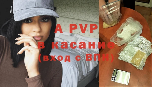 прущие грибы Осташков