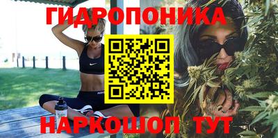 прущие грибы Гусь-Хрустальный