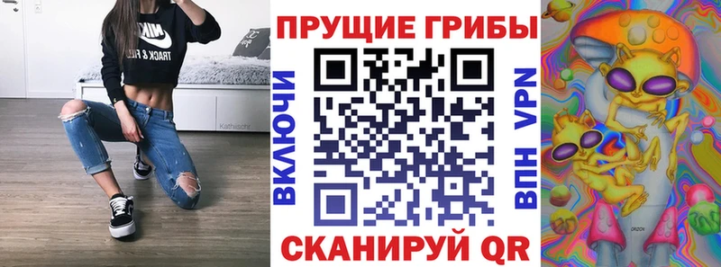 Галлюциногенные грибы Cubensis OMG онион Качканар