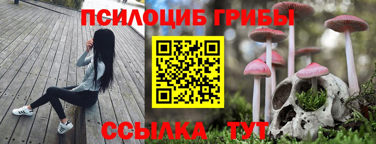 Качканар  Псилоцибиновые грибы GOLDEN TEACHER  Вход с VPN 