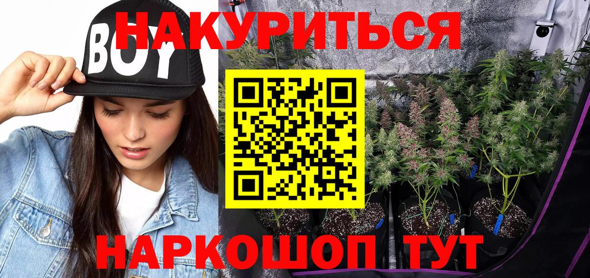 Канабис SATIVA & INDICA  Качканар  Бошки Шишки планчик 
